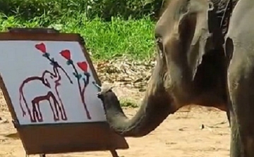 Le fog esni az álla! Önarckép egy elefánttól (videó)
