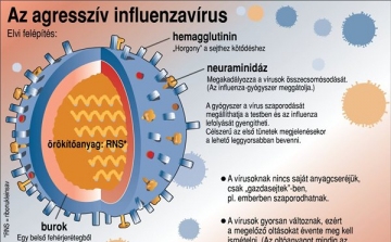 Az agresszív influenzavírus