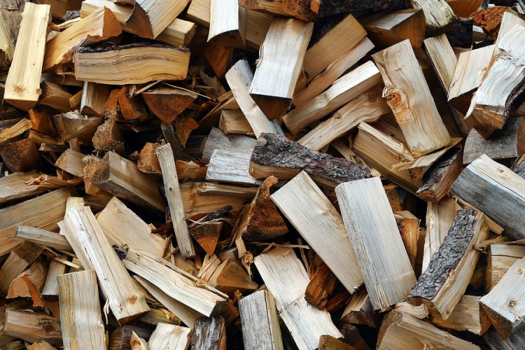 Továbbra is fenntartható módon zajlik a tűzifa kitermelése