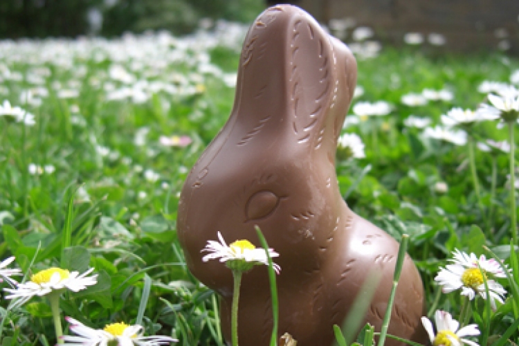 Mire figyeljünk a húsvéti csokoládék vásárlásakor?