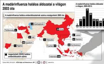 Az agresszív influenzavírus