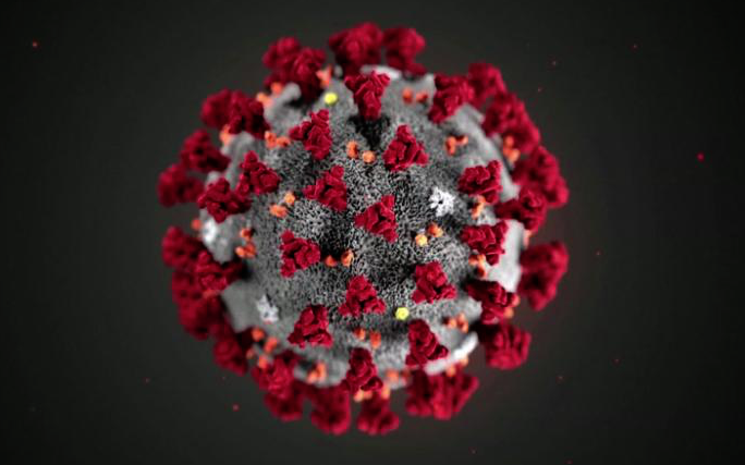Koronavírus - A világban 22,3 millió a fertőzöttek száma, egy nap alatt 5400-an haltak meg