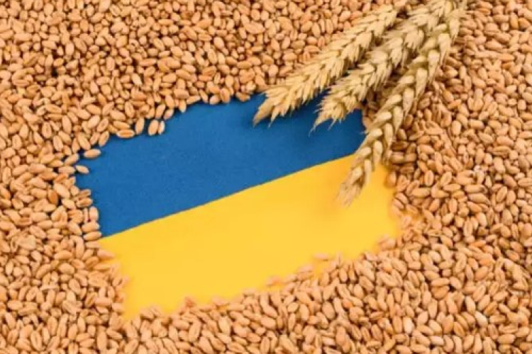 Nagy István: elfogadhatatlan, ahogy Brüsszel az ukrán gabona kérdésében döntött