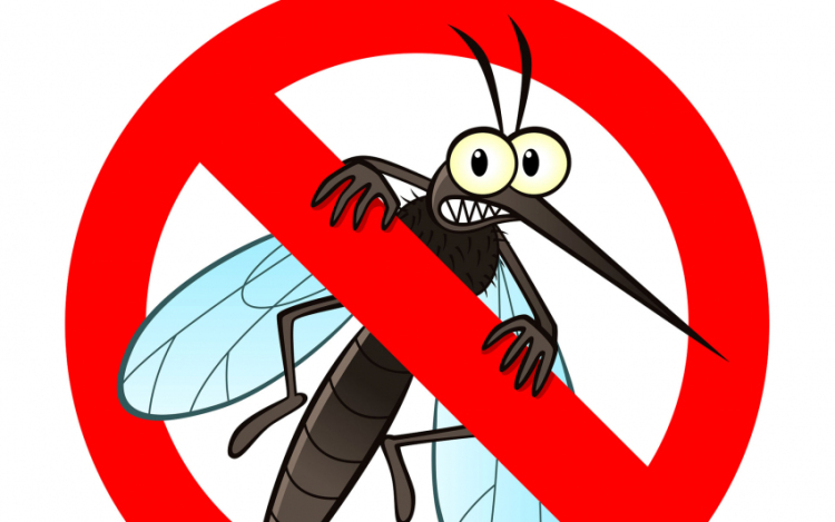Budapesten és száznyolcvan településen folytatódik a szúnyogok elleni védekezés