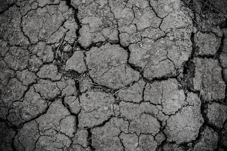 Hőség- OVF: a hétvégén érkező csapadék \