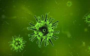 Továbbra is a közép-kínai Hupej tartományt sújtja leginkább a koronavírus