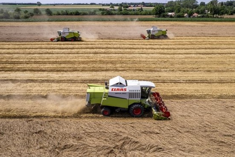 Agrometeorológia: a száraz időjárás kedvez az aratásnak