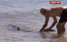 Cápával birkózott gyerekek megmentéséért egy férfi Ausztráliában (VIDEÓ)