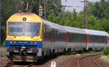 Szarvascsordát gázolt a vonat Tatabányánál