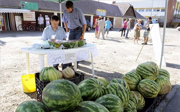 Kiemelten ellenőrzik a hatóságok a szezonális zöldségek és gyümölcsök árusítását