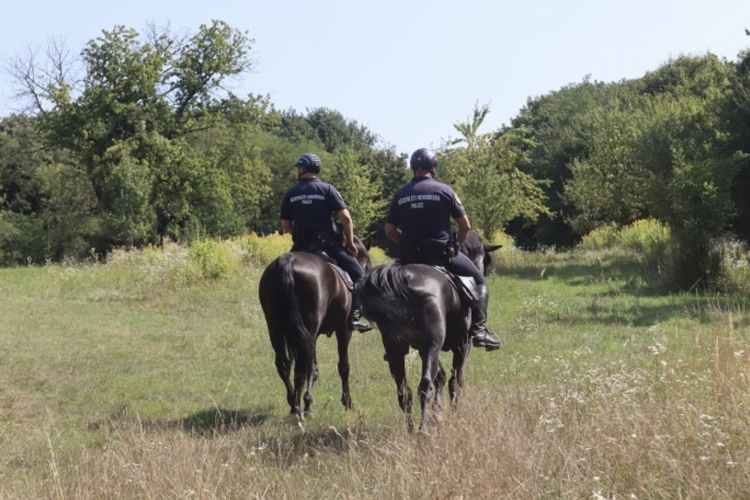EGY KÖZÖS CÉLÉRT AZ ERDŐBEN  