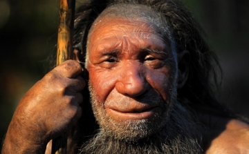 Állandó fülgyulladás okozhatta a neandervölgyi ember kihalását