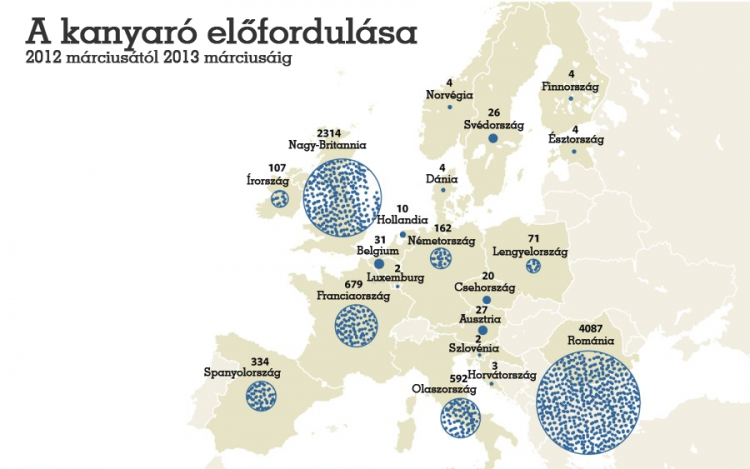 Kanyaró: visszatért Európába a halálos betegség