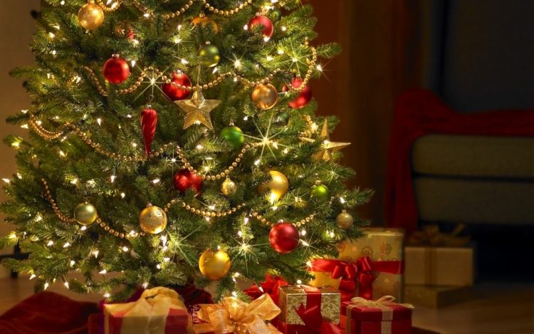 Karácsonyfa állítás 