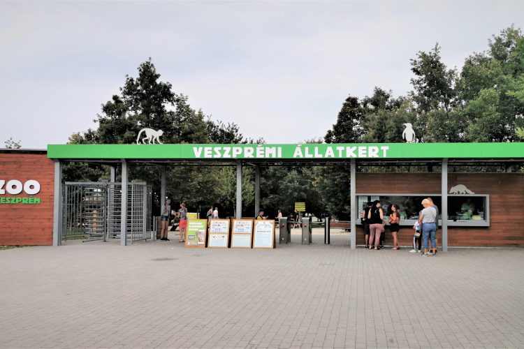 Nagymacskakifutót adtak át a veszprémi állatkertben
