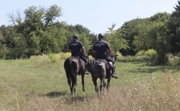 EGY KÖZÖS CÉLÉRT AZ ERDŐBEN  