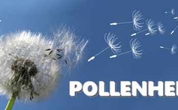 Pollen napló szolgáltatás