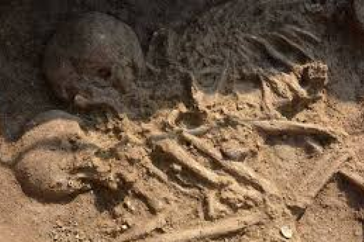 Szenzációs leletre bukkantak