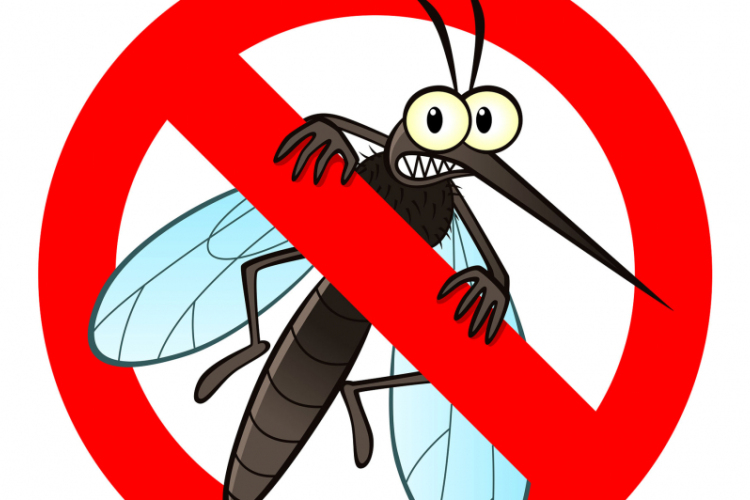 OKF: 260 településen irtják a szúnyogokat a héten